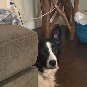 Meet your Posher, Dawnell